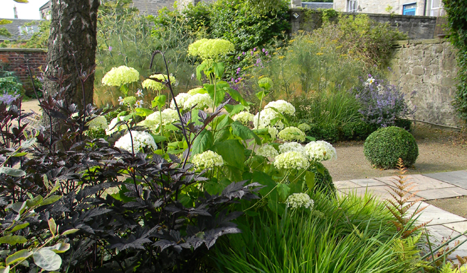 A large city garden design in Edinburgh